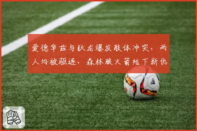 爱德华兹与狄龙爆发肢体冲突，两人均被驱逐，森林狼火箭结下新仇