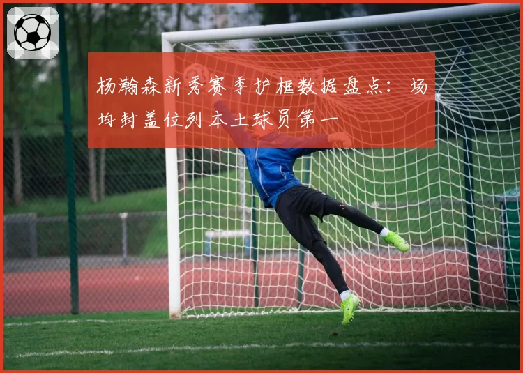 杨瀚森新秀赛季护框数据盘点:场均封盖位列本土球员第一