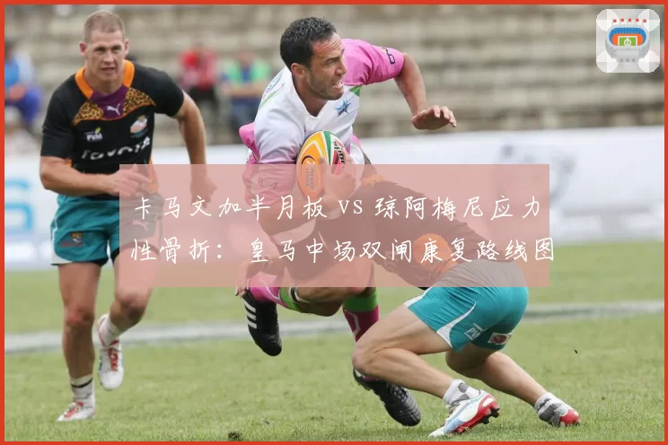 卡马文加半月板 vs 琼阿梅尼应力性骨折:皇马中场双闸康复路线图